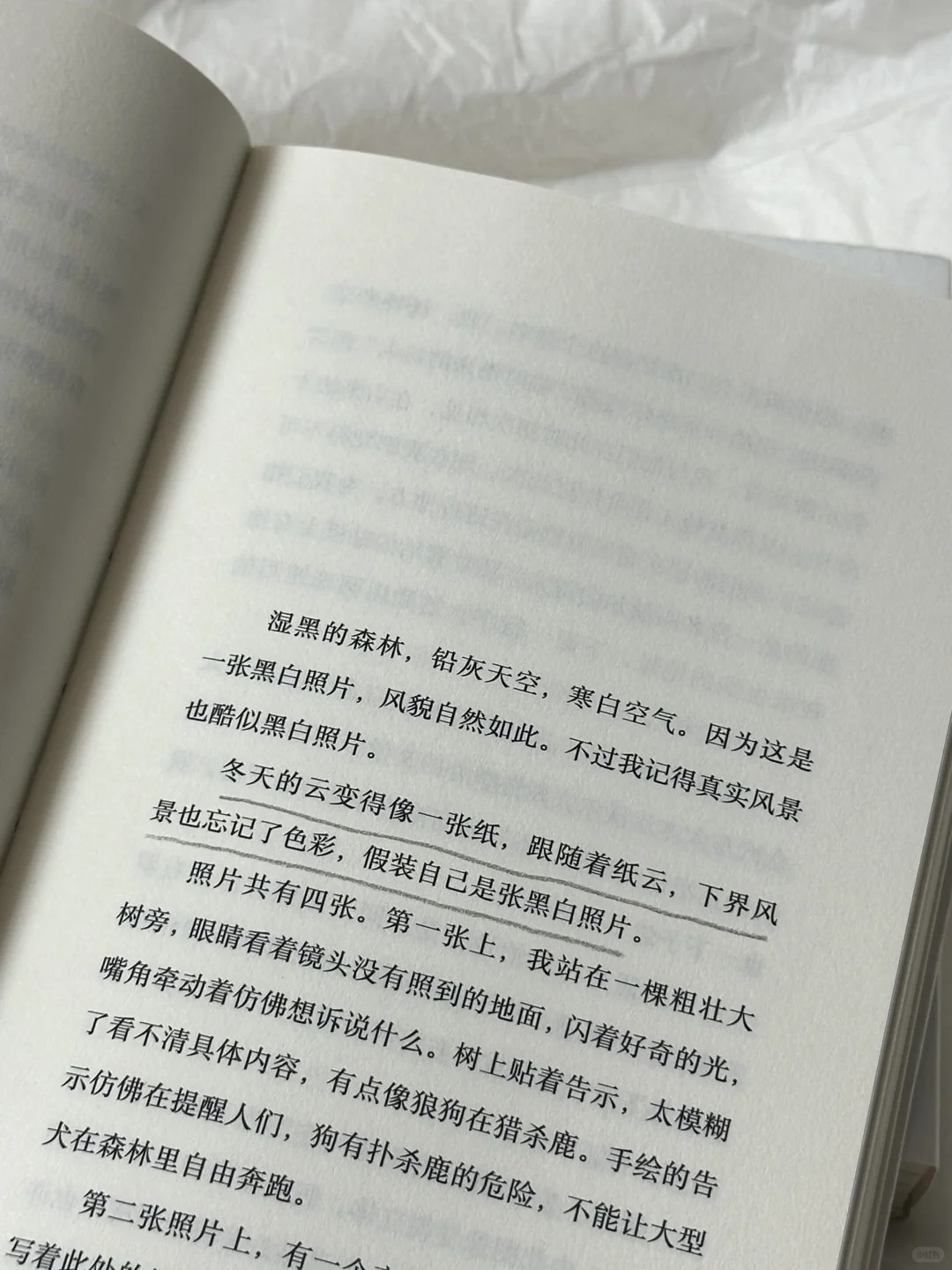 “你的人生，无聊而幸福就可以了。”