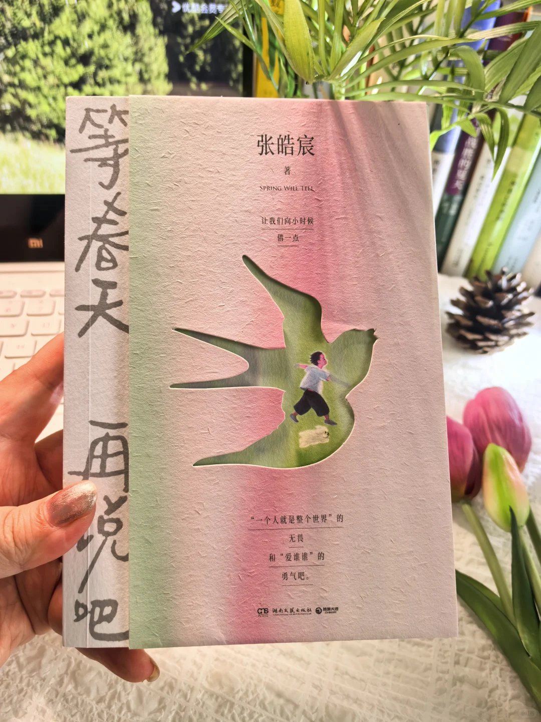 终于等到张皓宸的新书啦！太太治愈了