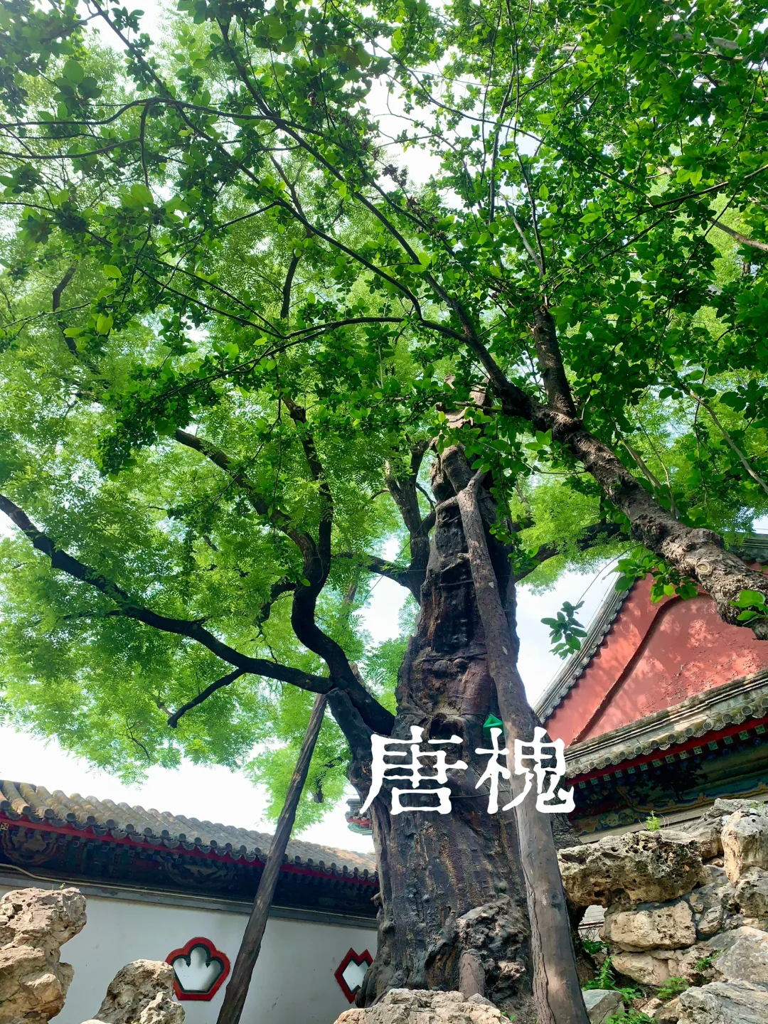 北海公园攻略｜8处秘境，看这1篇就够了