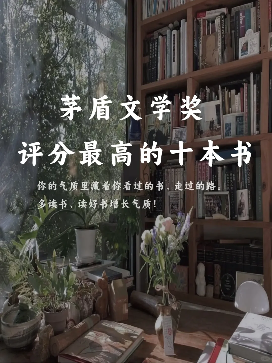 矛盾文学奖，评分很高的10部作品值得一看！