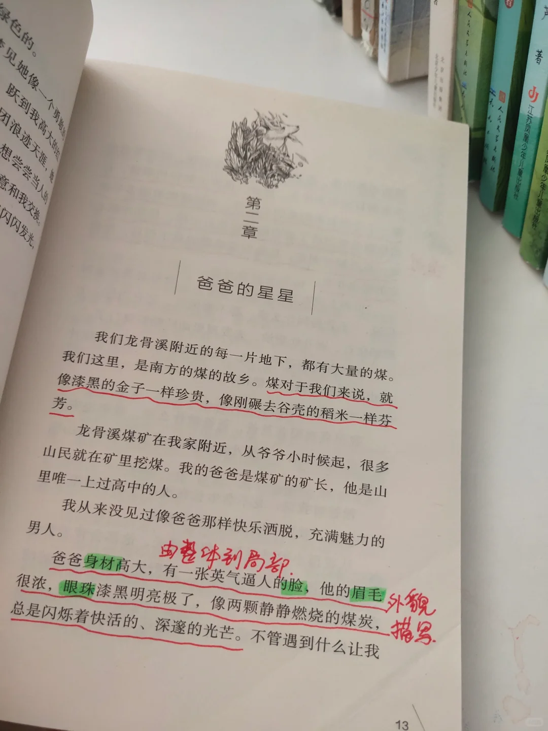 四五年级寒假高质量书单，句句可仿写!