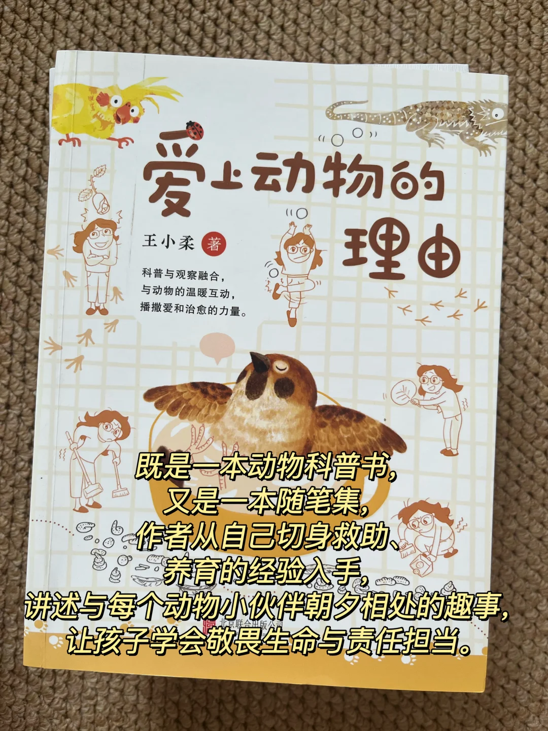 8本超棒的儿童文学书单！每一本都含金量超标