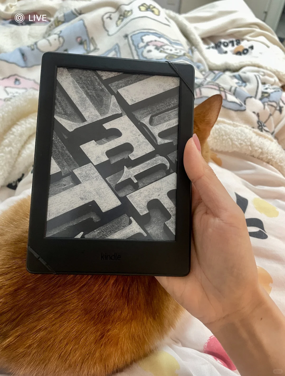 以前对用Kindle的人满心不解！