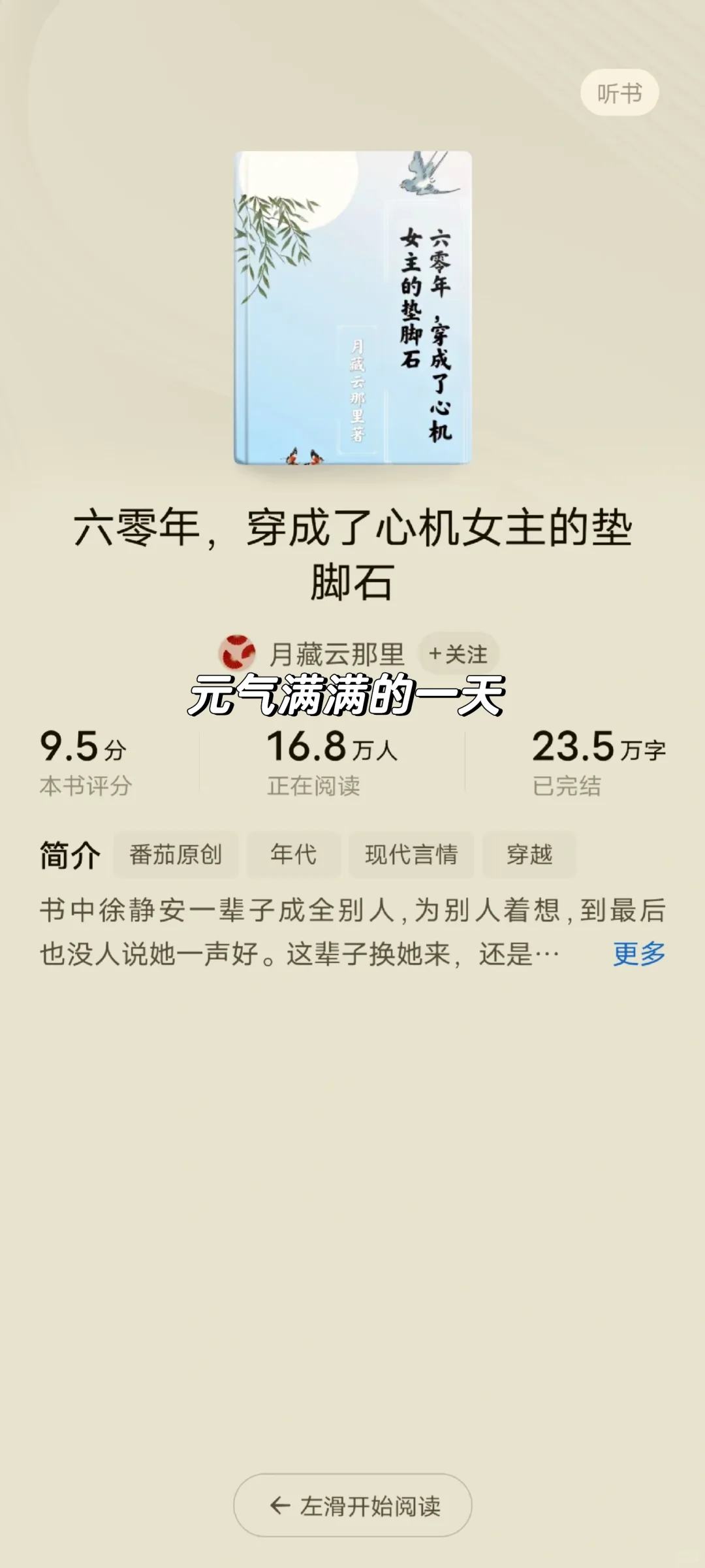 完结小说