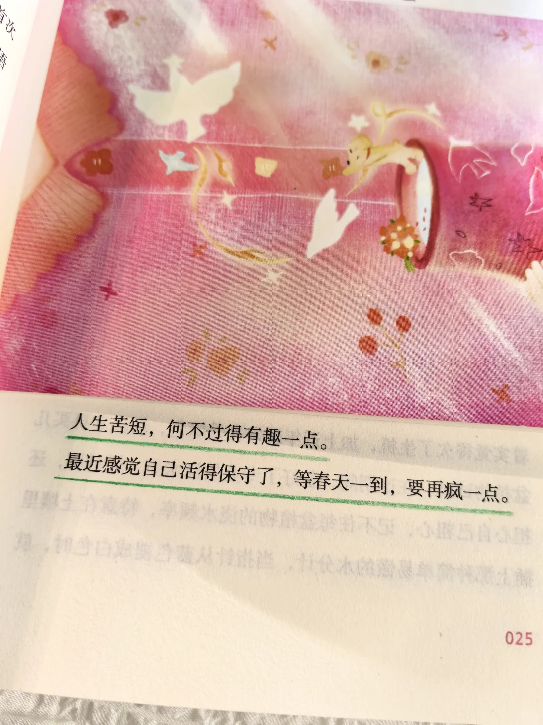 终于等到张皓宸的新书啦！太太治愈了