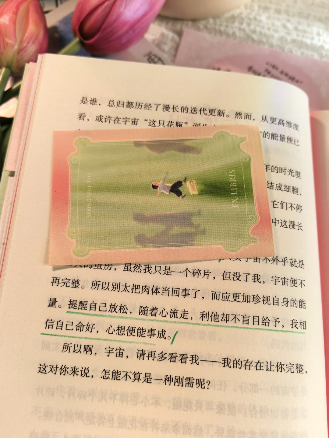 终于等到张皓宸的新书啦！太太治愈了