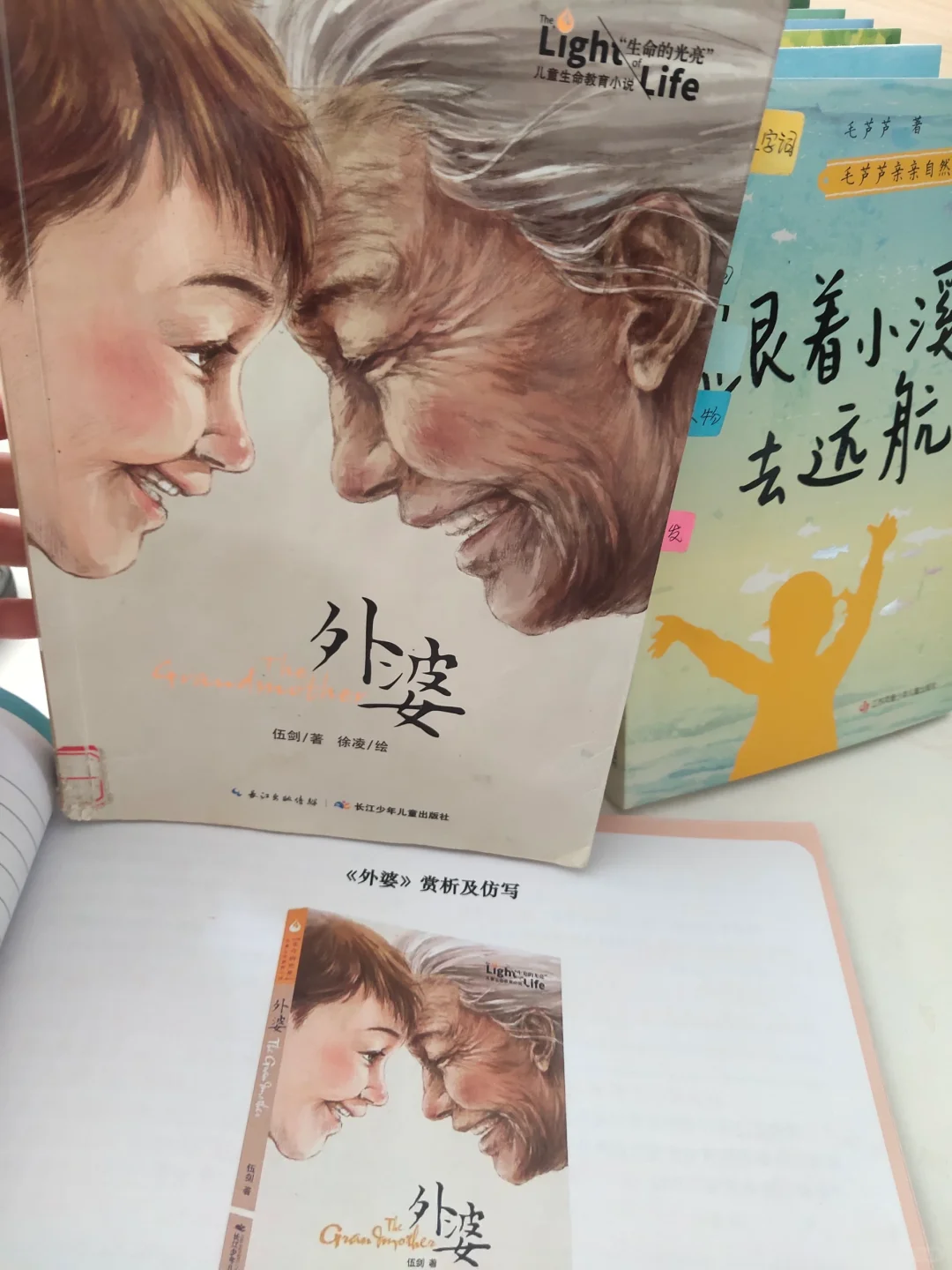 四五年级寒假高质量书单，句句可仿写!