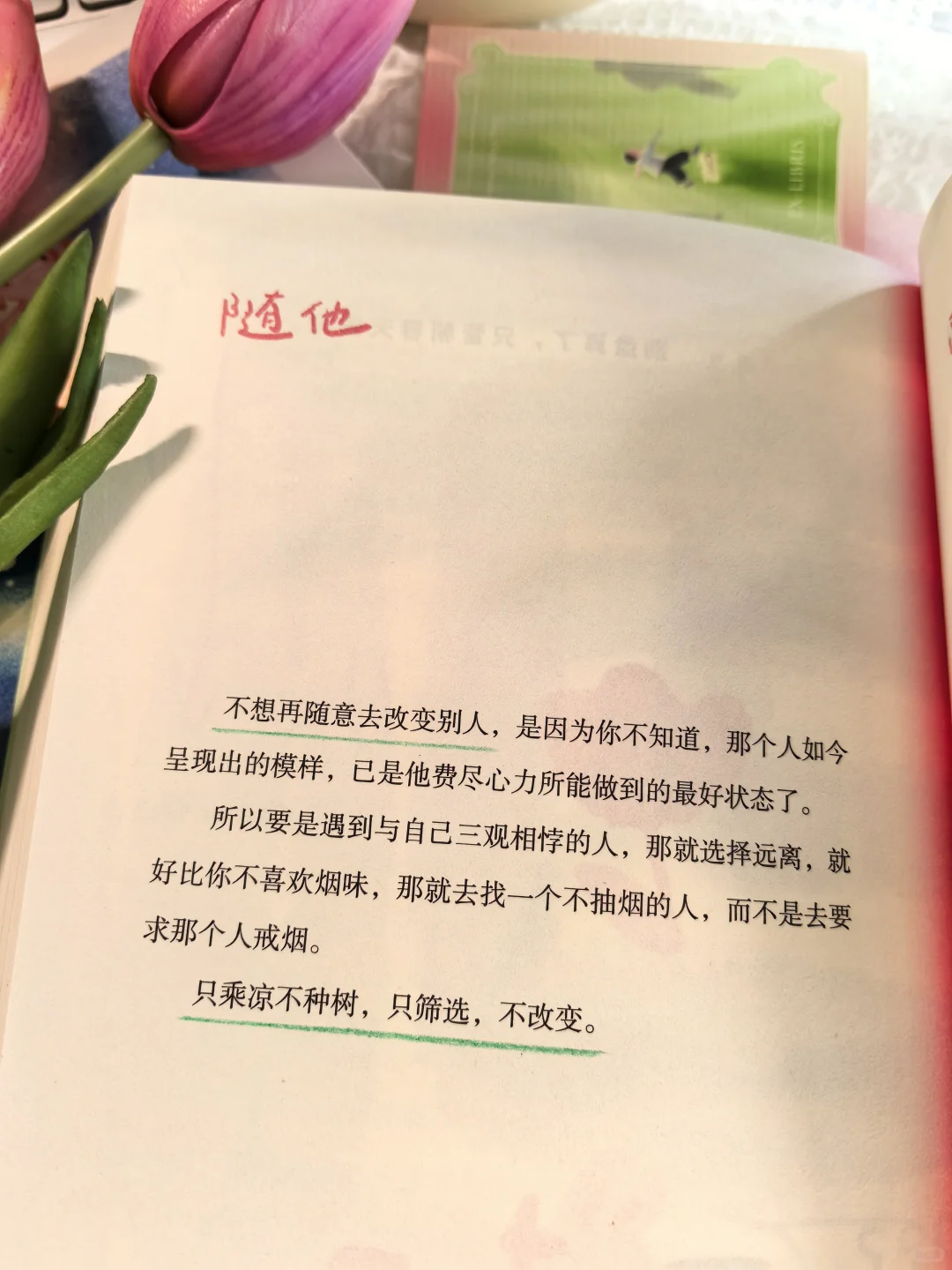 终于等到张皓宸的新书啦！太太治愈了