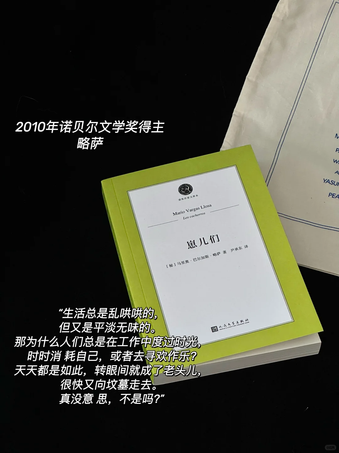 一套诺奖文库本的快乐