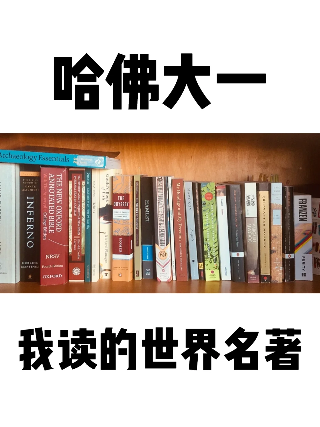 哈佛大一世界名著书单：必读的英语文学📚