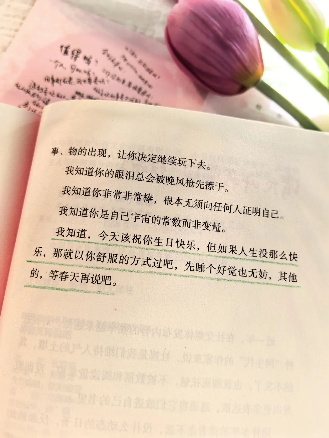 终于等到张皓宸的新书啦！太太治愈了