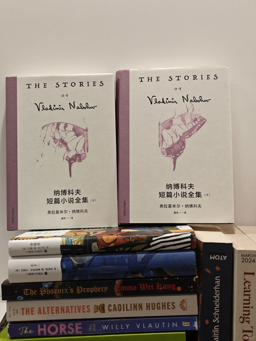诺奖作家冷门书｜真正的文学藏着生活的血泪