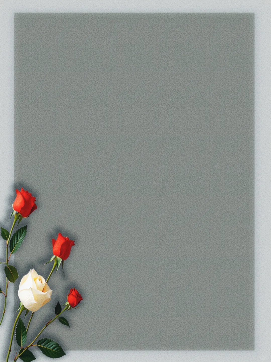 玫瑰🌹光影底图