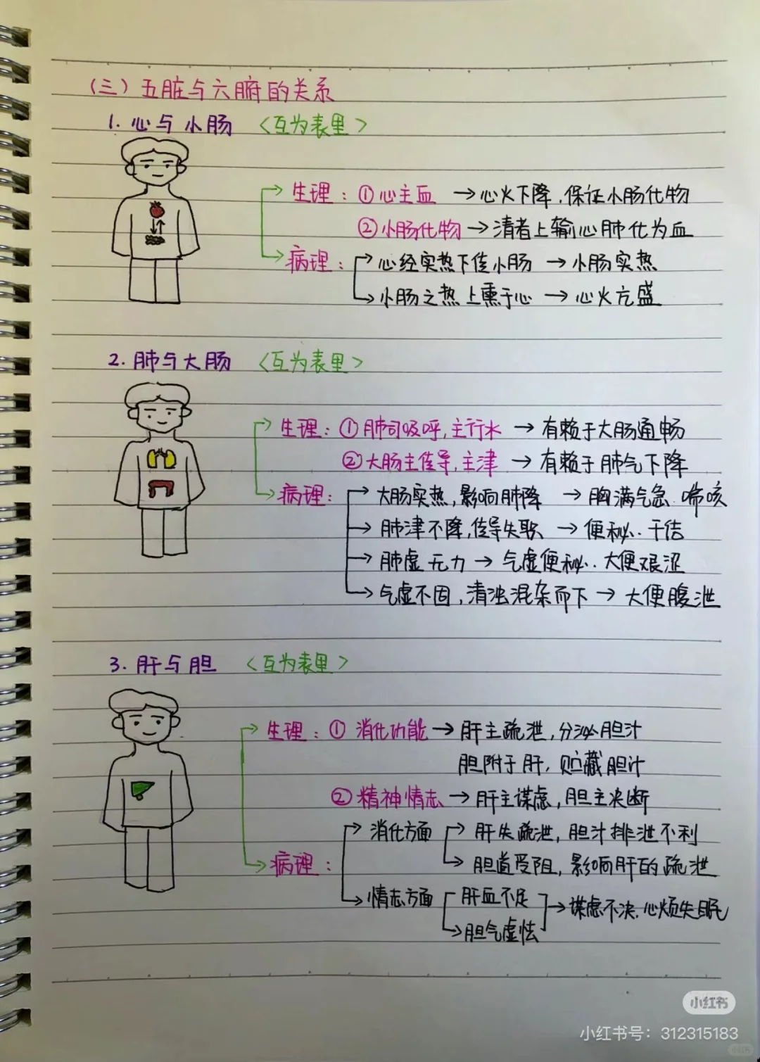 转发笔记 看黄帝内经第二章脏腑篇