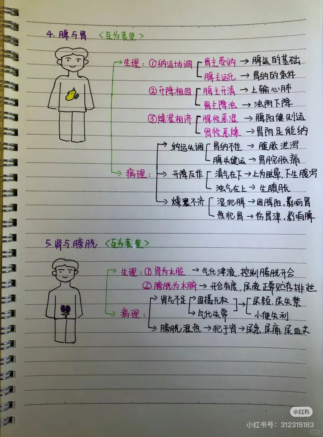 转发笔记 看黄帝内经第二章脏腑篇