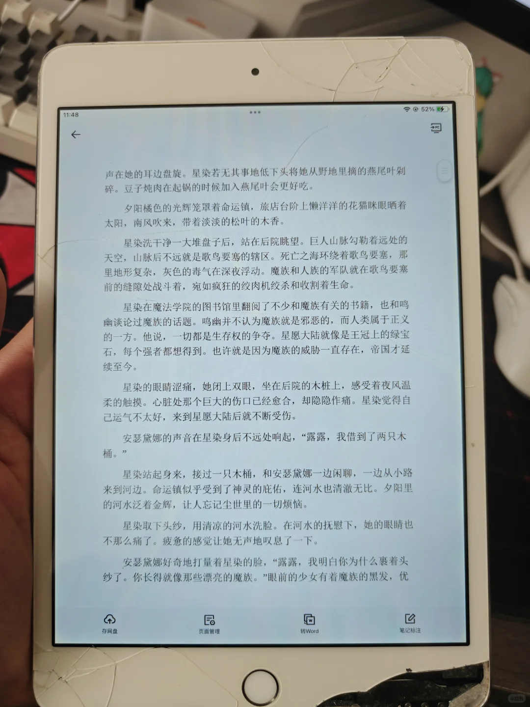 星愿大陆真的好看，我啃了！