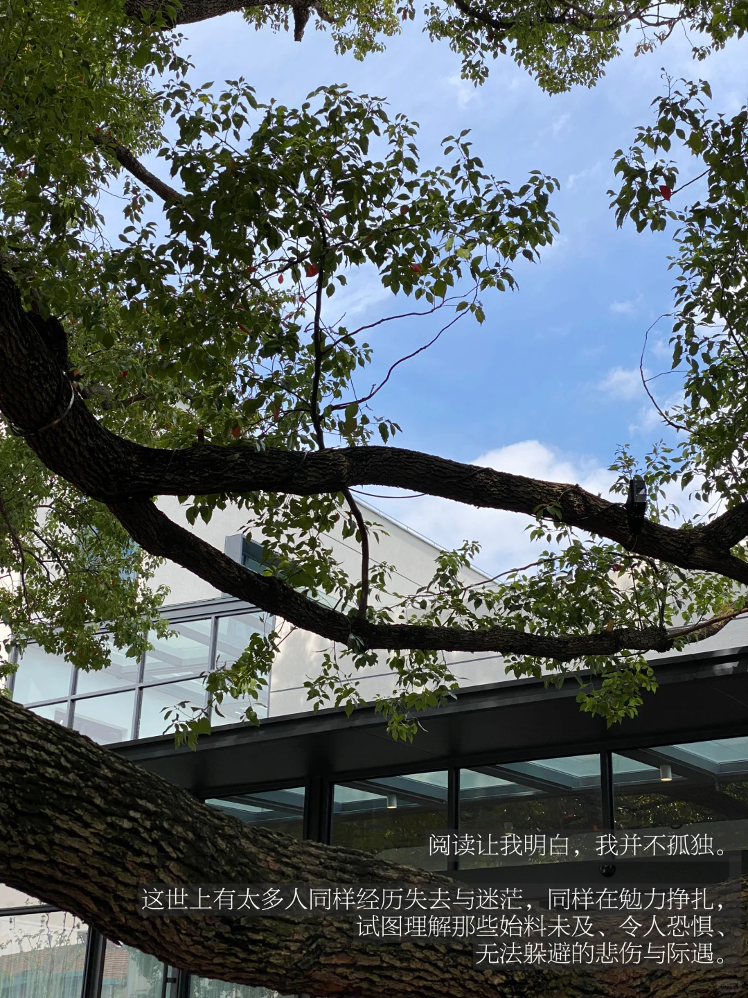 突然发现长期阅读的人都有一个共性