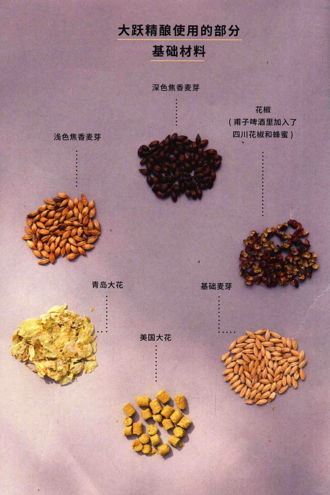 PDF分享 腐的品格 发酵料理 发酵指南 食谱