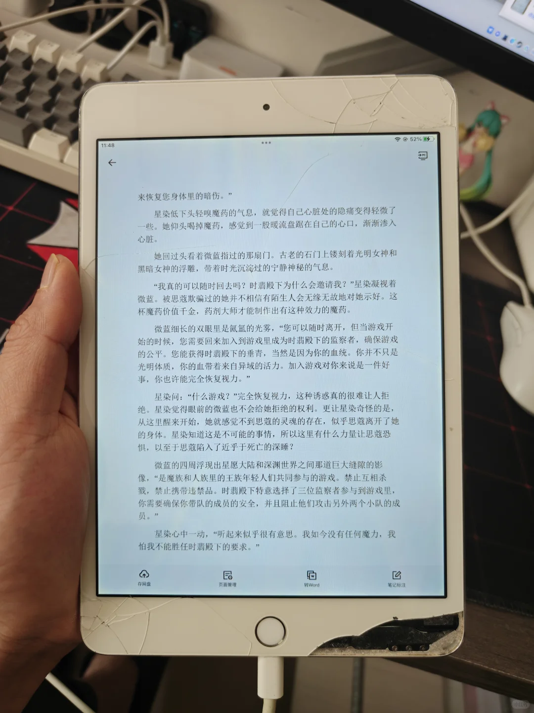 星愿大陆真的好看，我啃了！