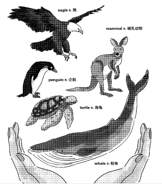 电子版pdf 雅思词汇真经内容