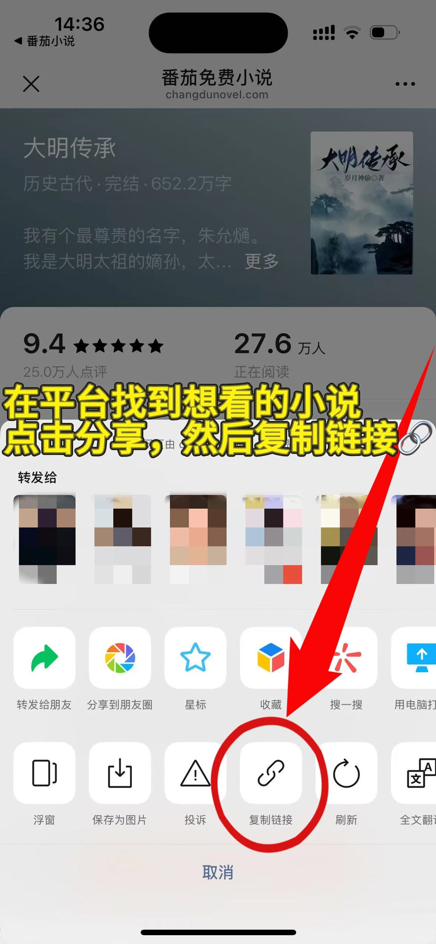 🍅小说如何转成TXT格式的文档