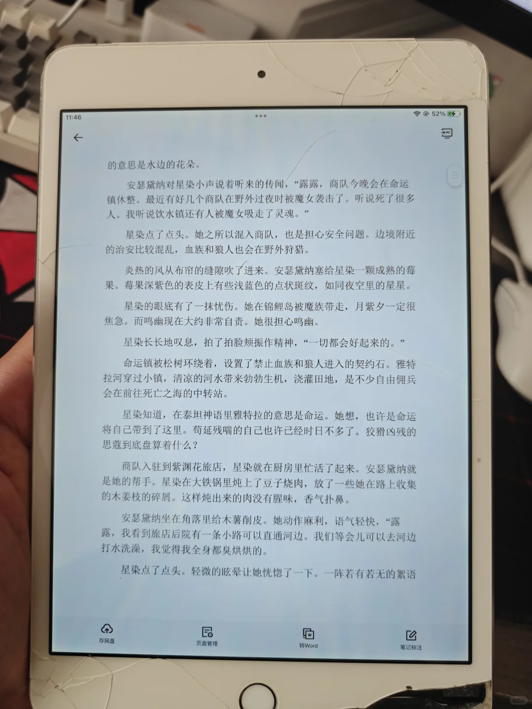 星愿大陆真的好看，我啃了！