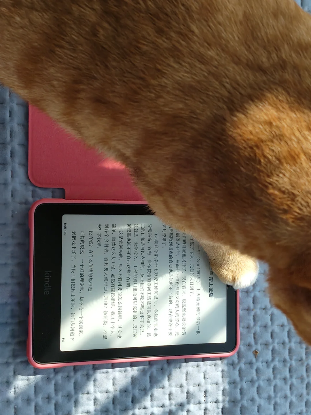 680的kpw6到啦😍好康好康