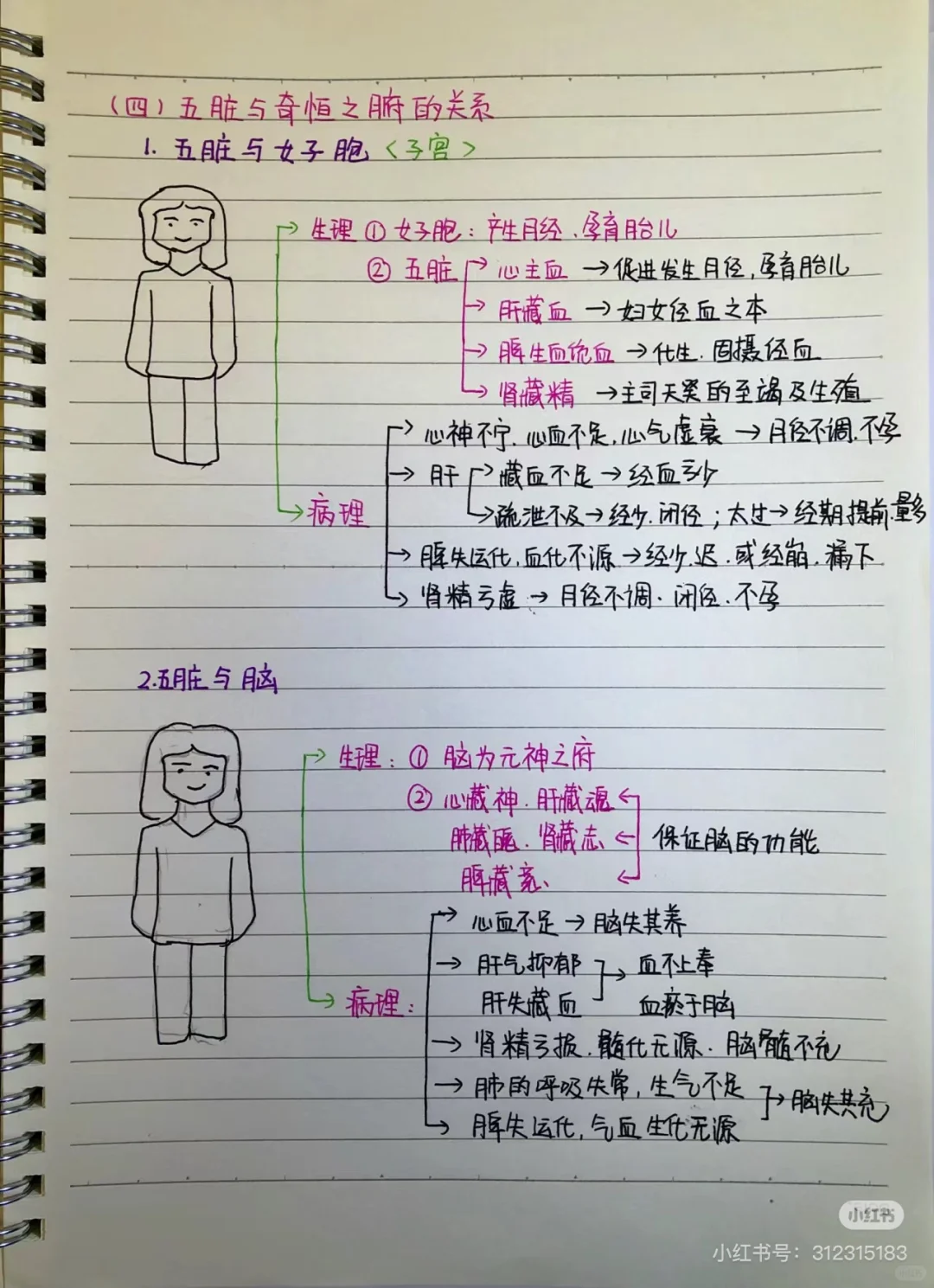 转发笔记 看黄帝内经第二章脏腑篇