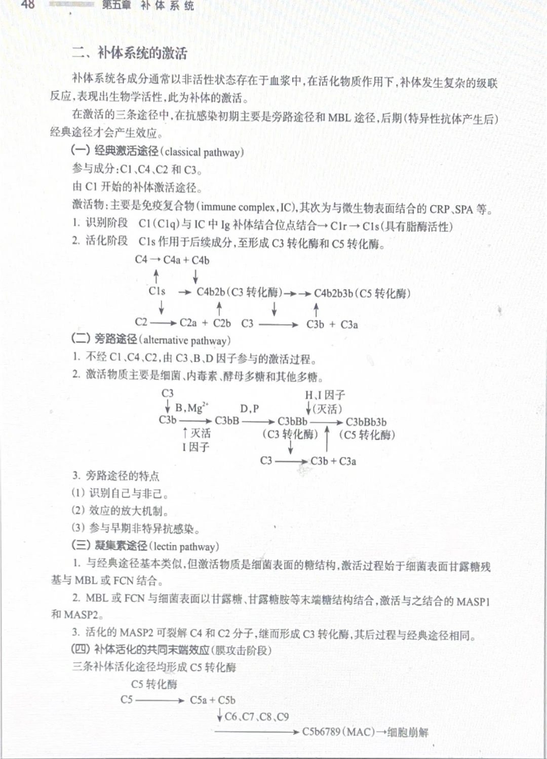 医学免疫pdf，结合姚小姚老师“食用更为美味”