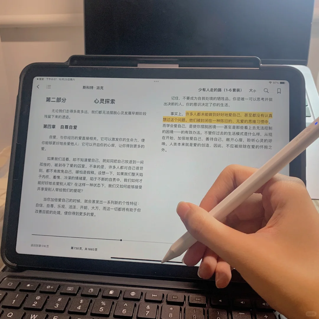 与学术型iPad适配度百分百的图书资源网站㊙️