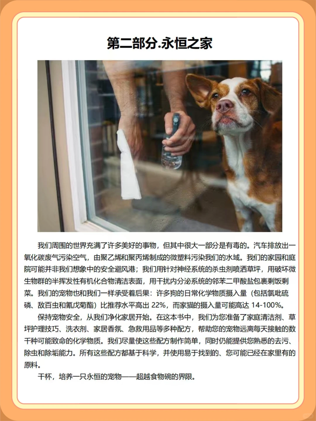 电子书下载|省钱自制养宠清洁好物分享