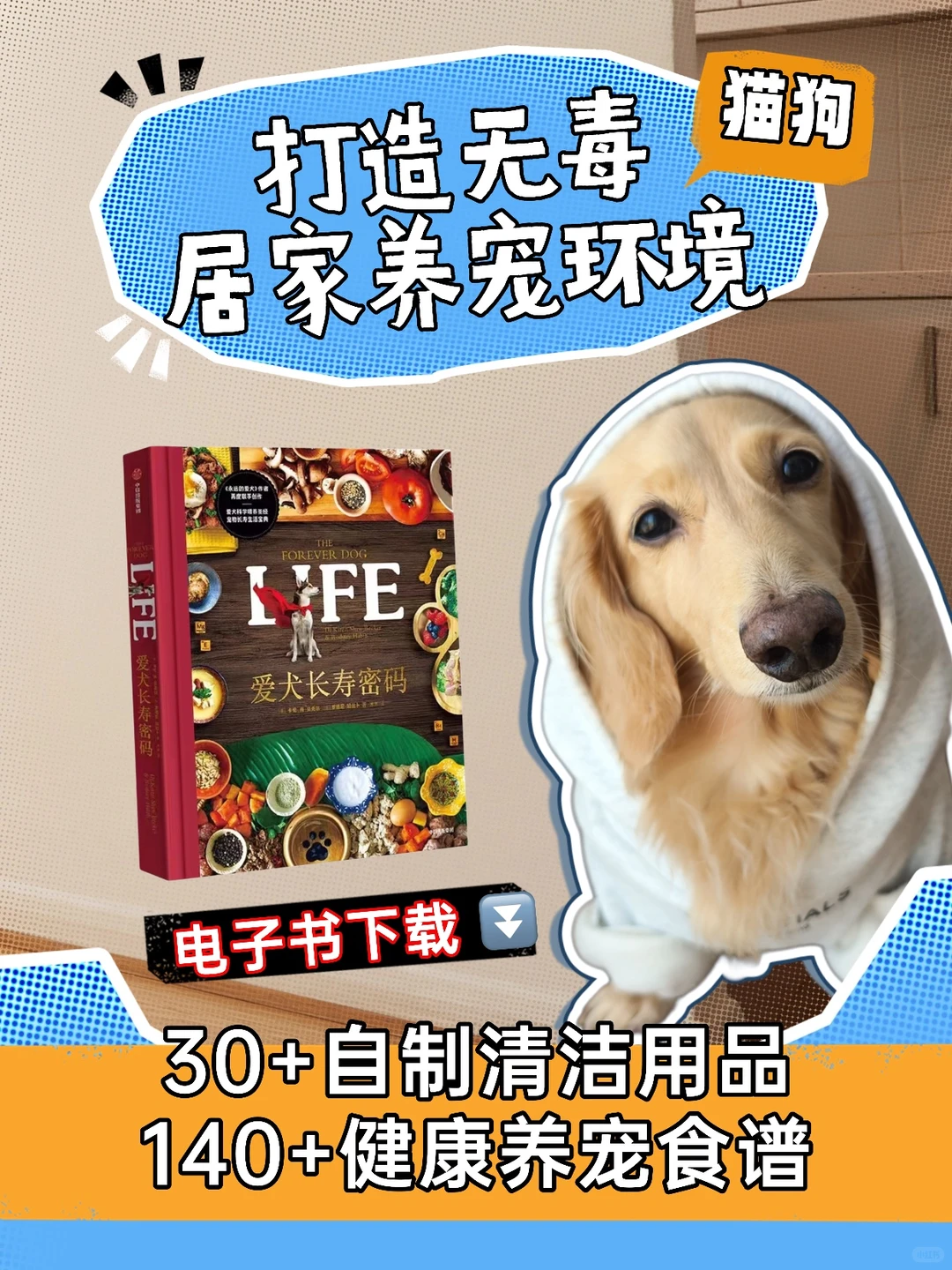 电子书下载|省钱自制养宠清洁好物分享