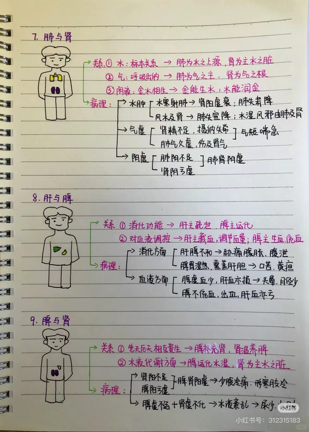 转发笔记 看黄帝内经第二章脏腑篇