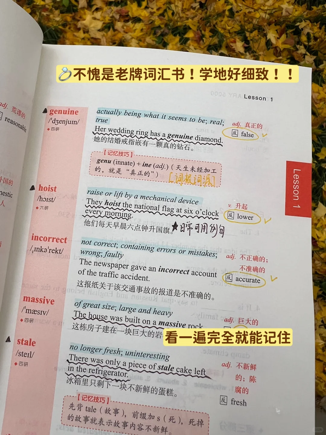 在英语顶尖学府，词汇量2w心照不宣的秘密！