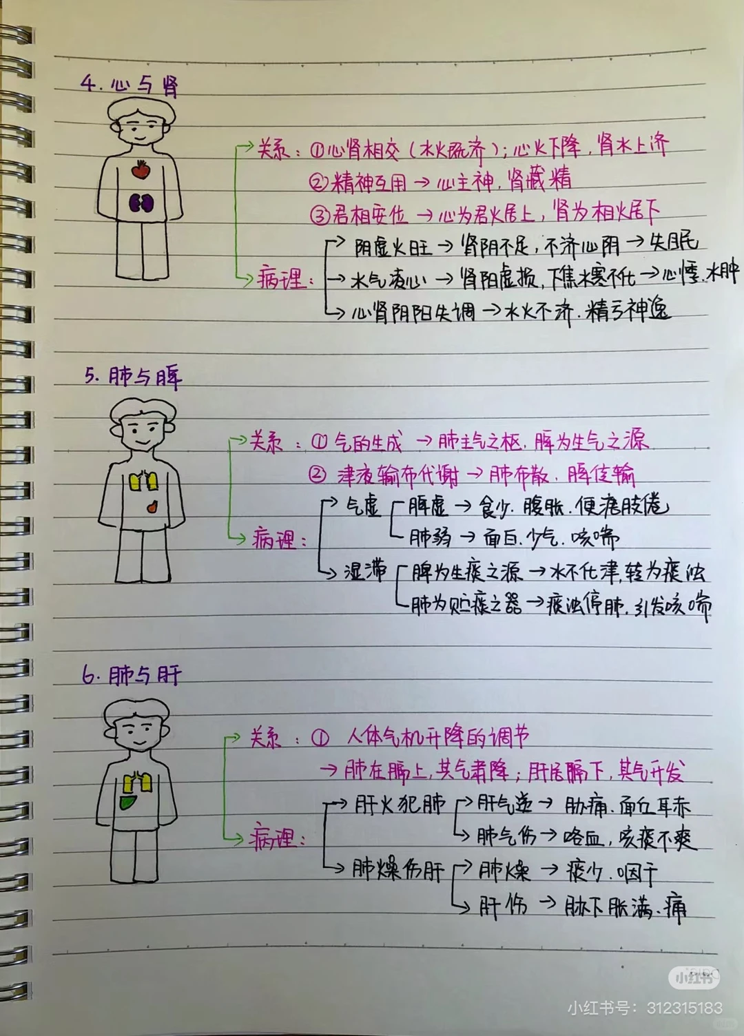 转发笔记 看黄帝内经第二章脏腑篇