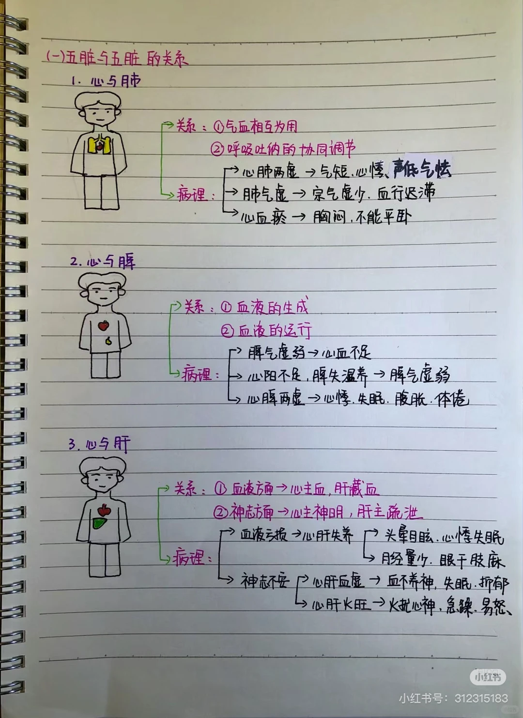 转发笔记 看黄帝内经第二章脏腑篇