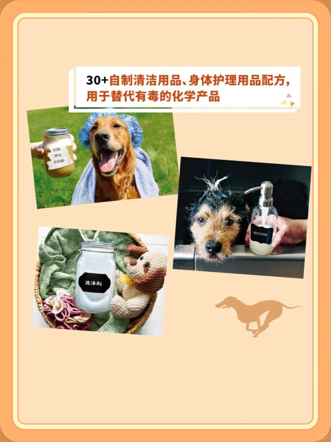 电子书下载|省钱自制养宠清洁好物分享