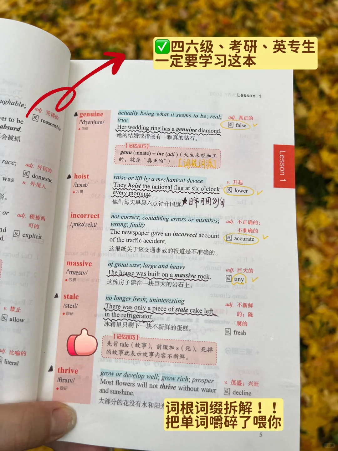 在英语顶尖学府，词汇量2w心照不宣的秘密！