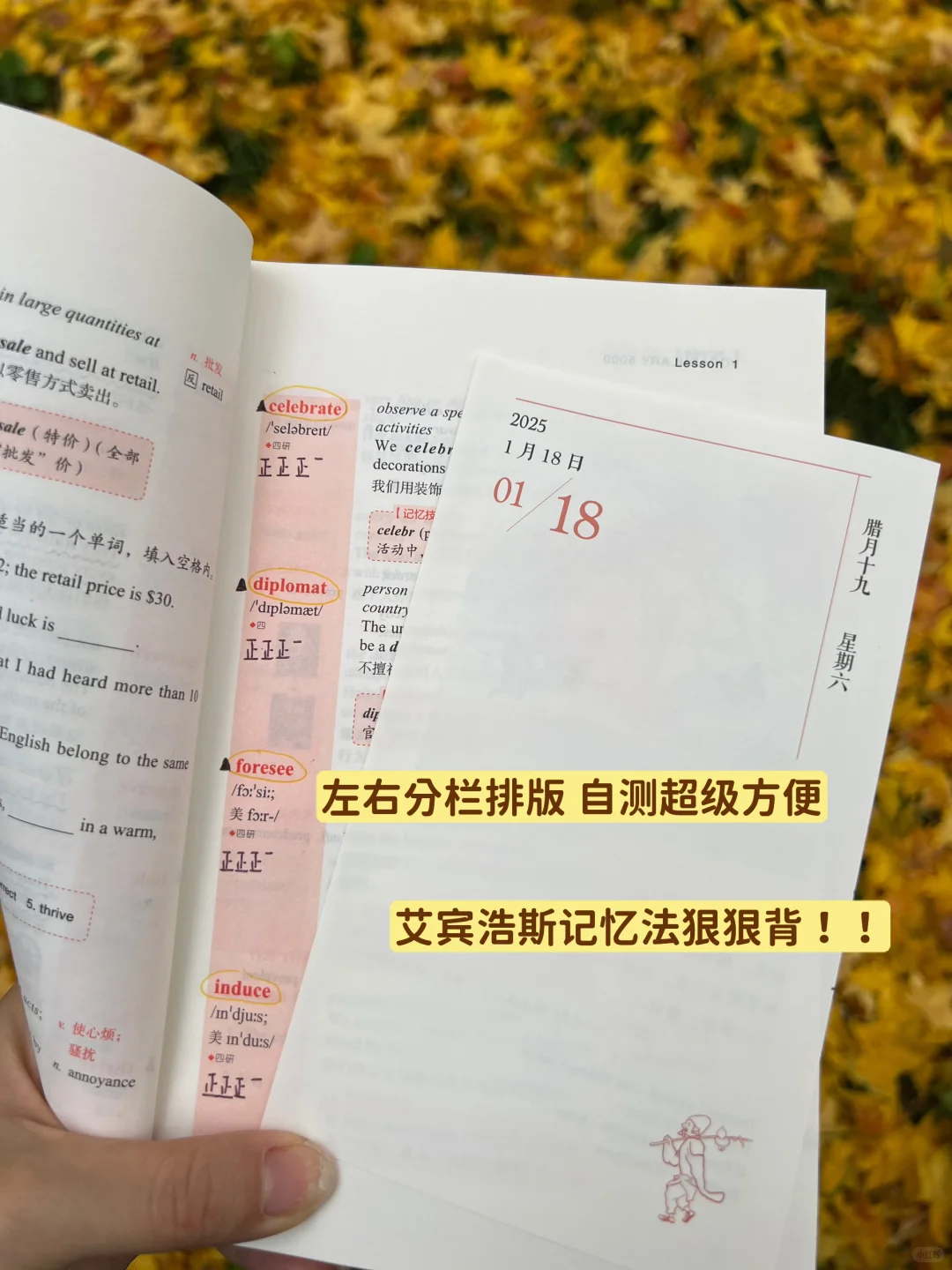 在英语顶尖学府，词汇量2w心照不宣的秘密！