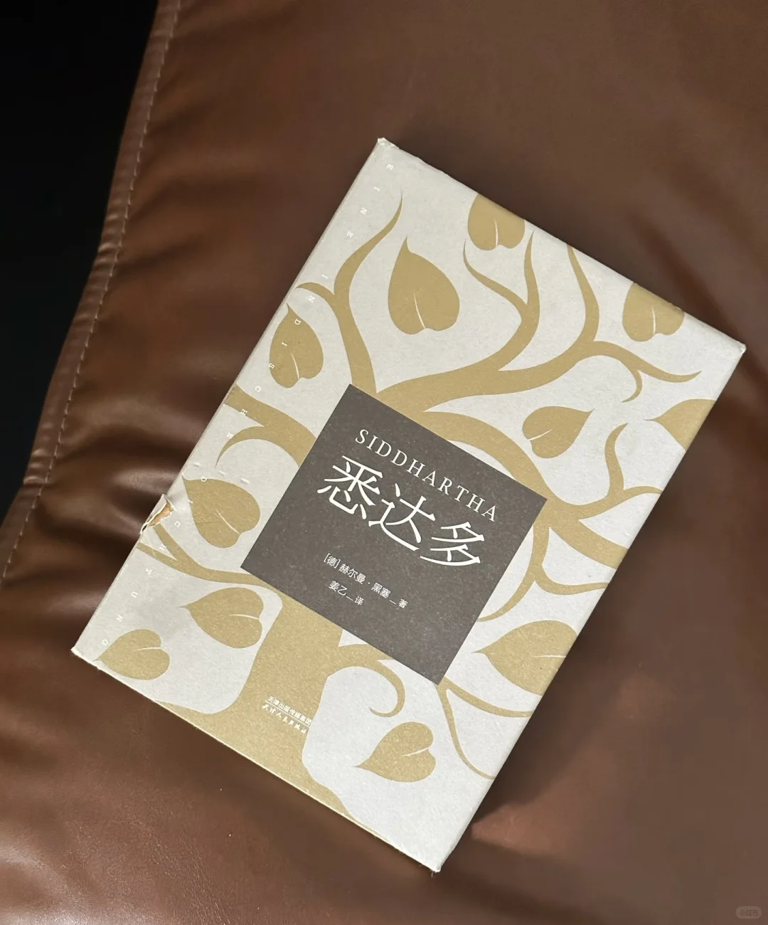 无偿分享《悉达多》电子书