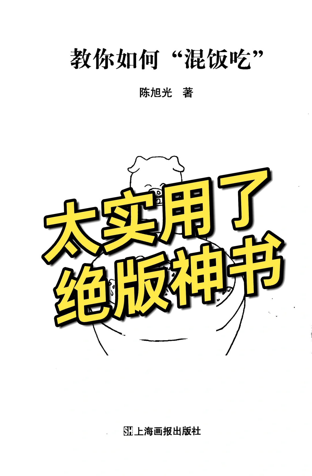 今天刚挖到的一本实用型绝版好书！非常开悟