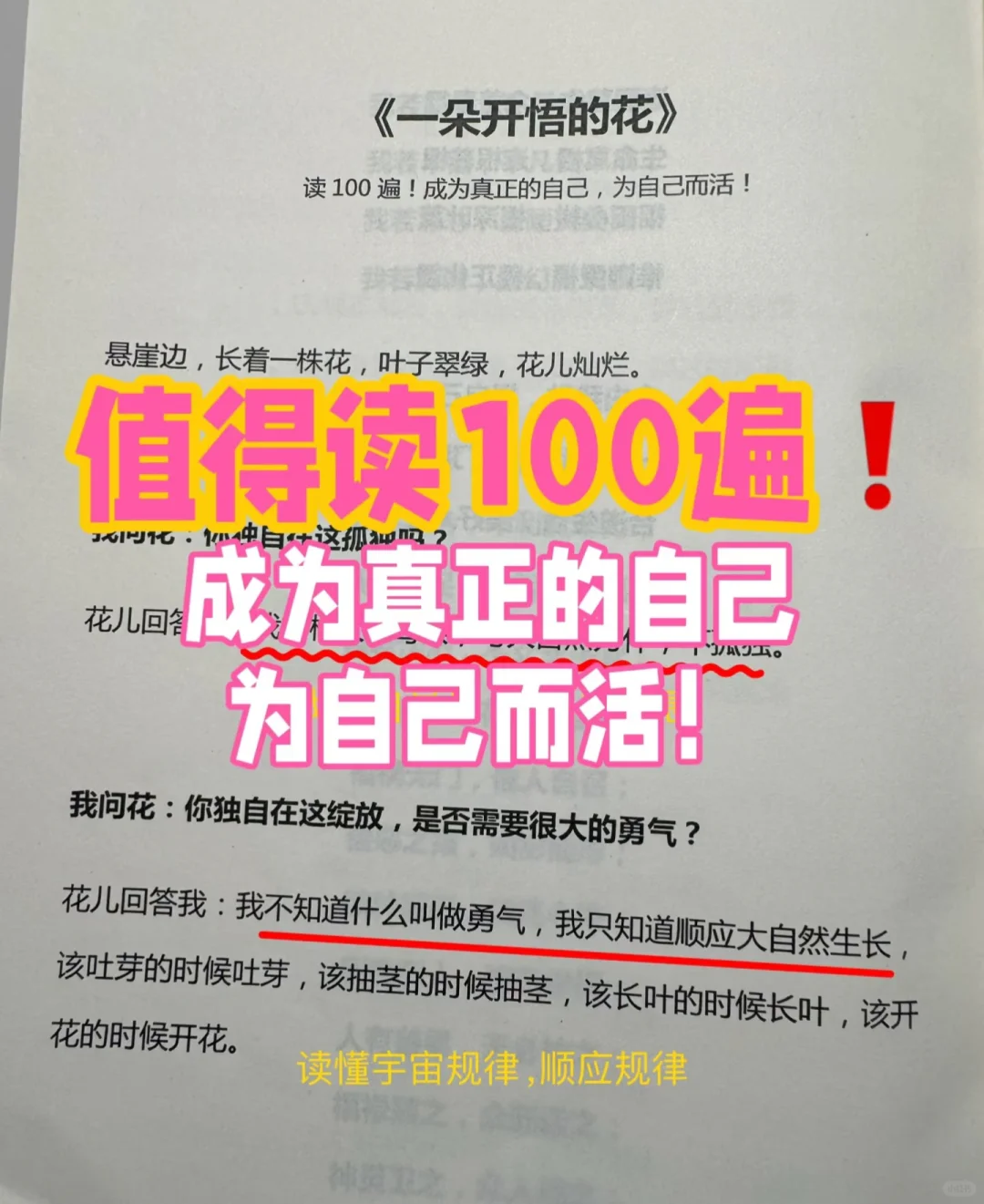 心灵疗愈必备❗答应我一定要读烂这本书❗