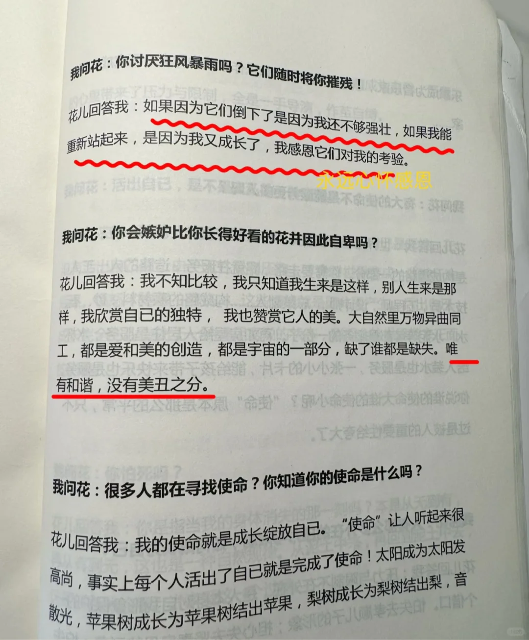 心灵疗愈必备❗答应我一定要读烂这本书❗
