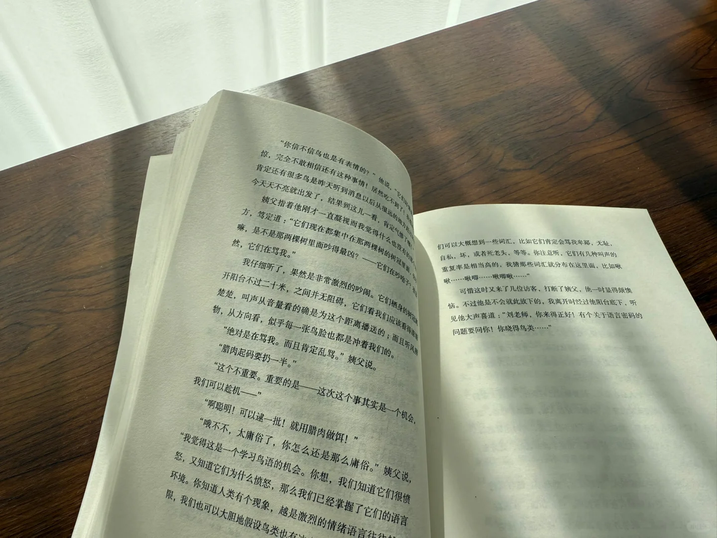 我的一月書單 📖 ｜｜幸得诸君慰平生🧧
