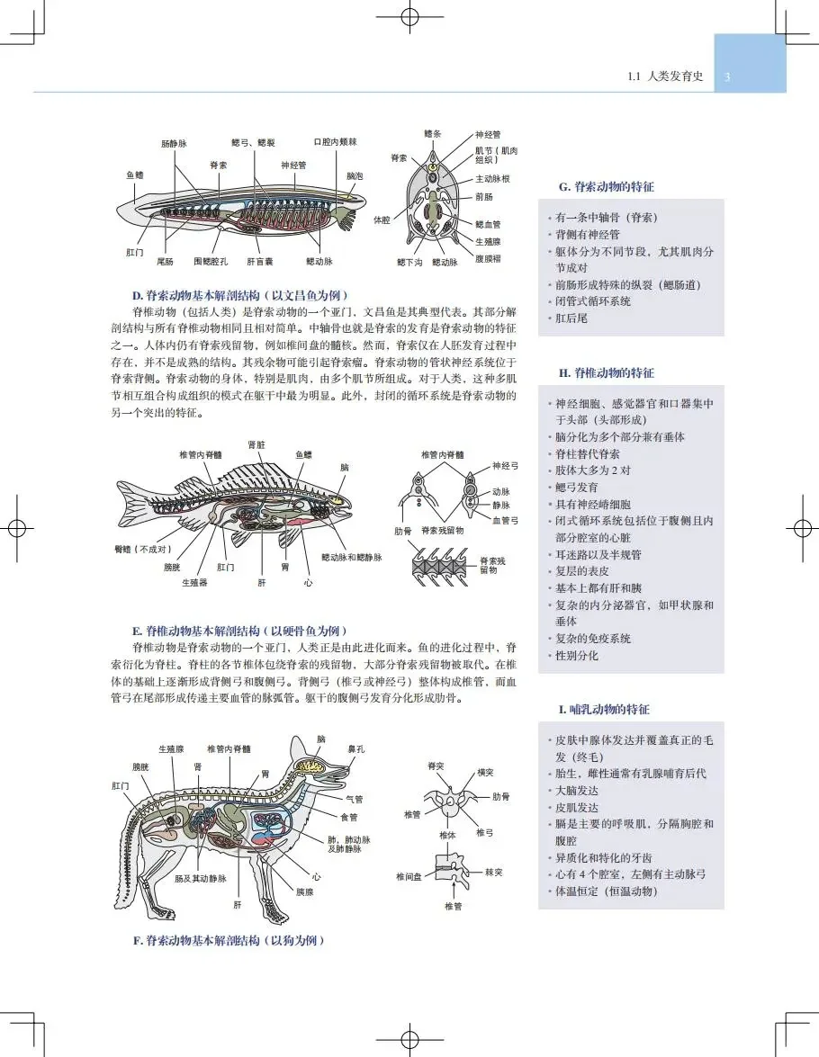【PDF版】人体解剖学图谱pdf电子书下载