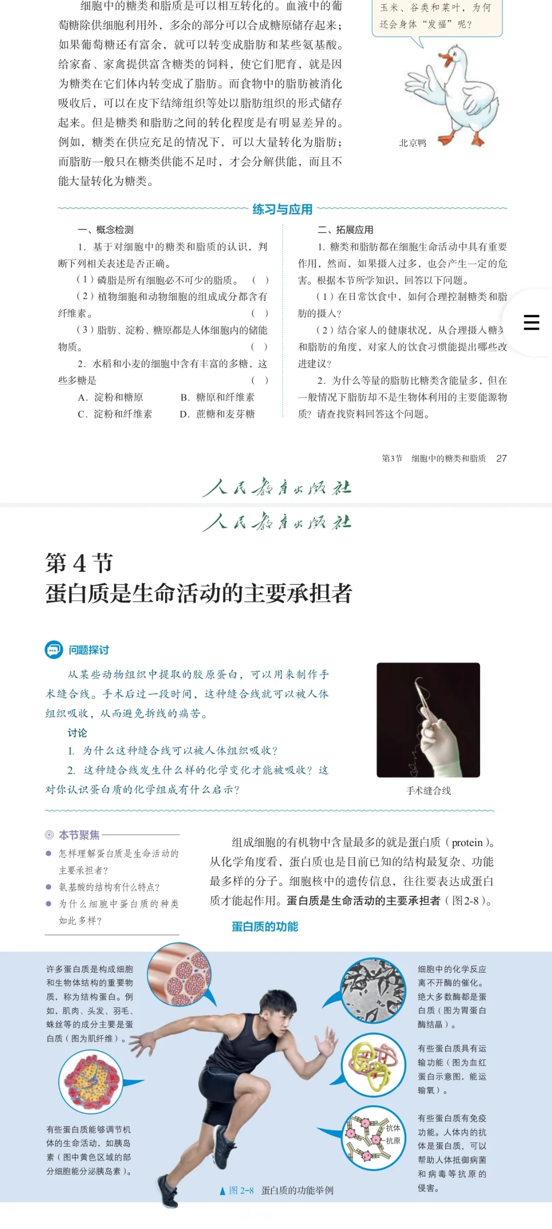 最新人教版高中生物电子课本