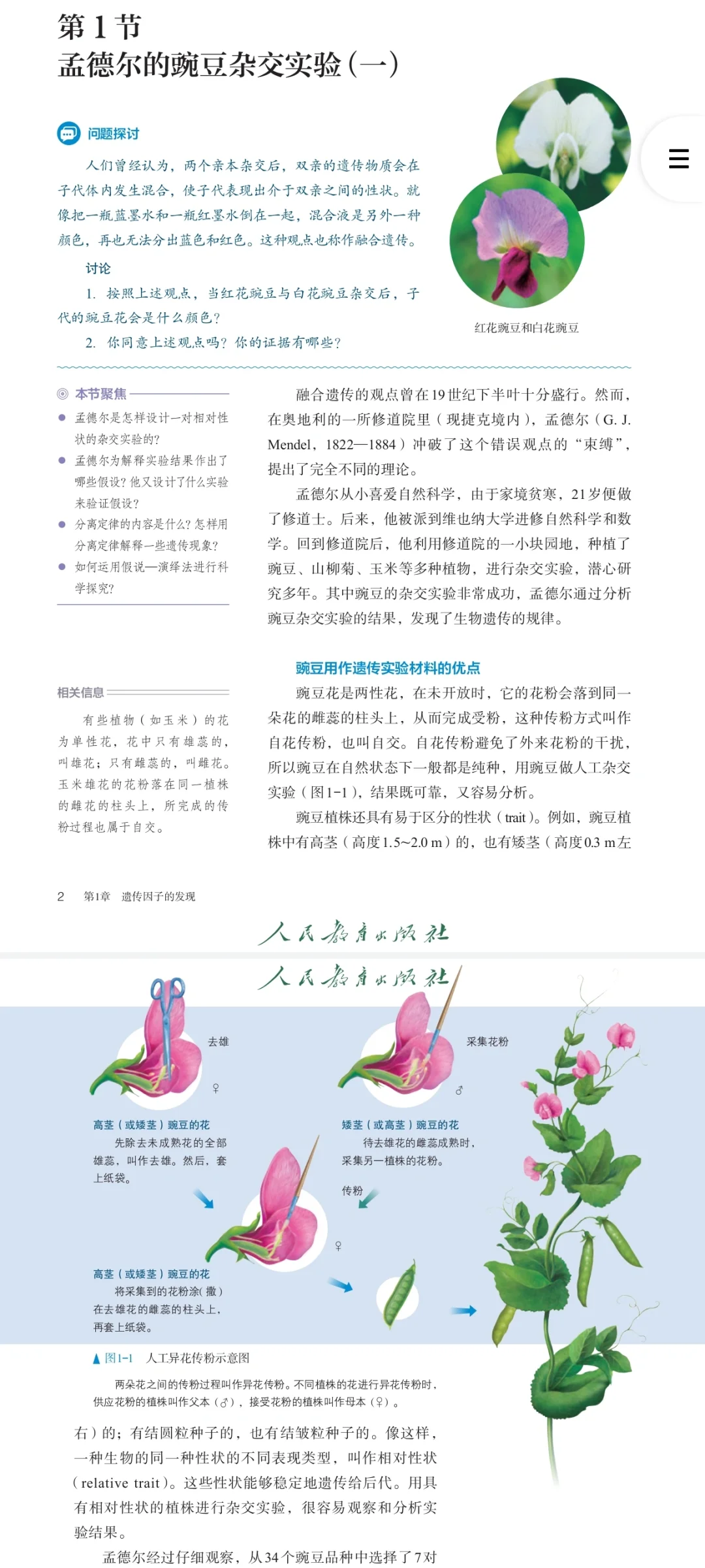 最新人教版高中生物电子课本