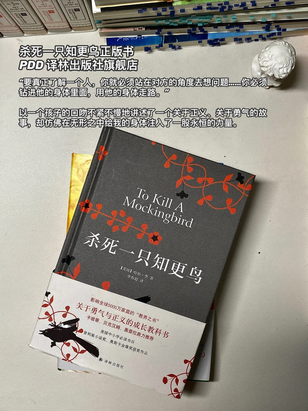 PDD书单｜真希望20多岁的你早点读这些书