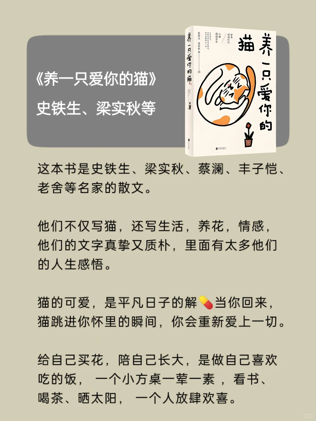 治 愈系书单｜生活奇奇怪怪，我们可可爱爱