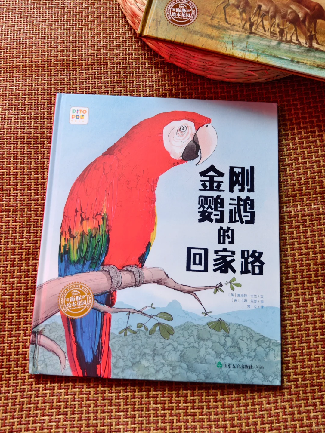 自然美育书单｜让孩子认识、学习、爱上大自然！